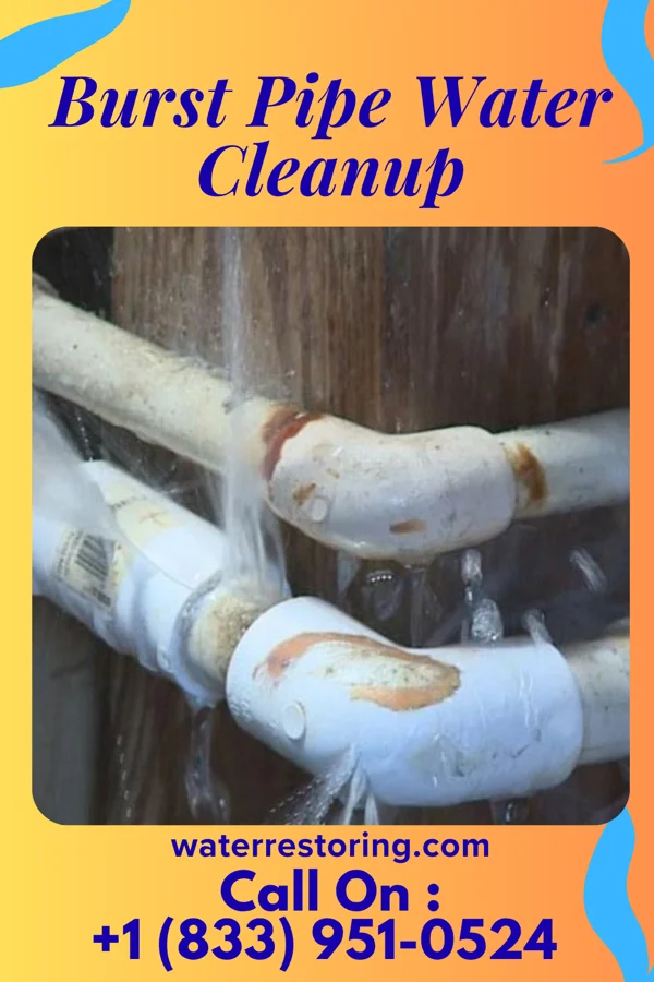 Burst Pipe Water Cleanup in Gallatin, TN