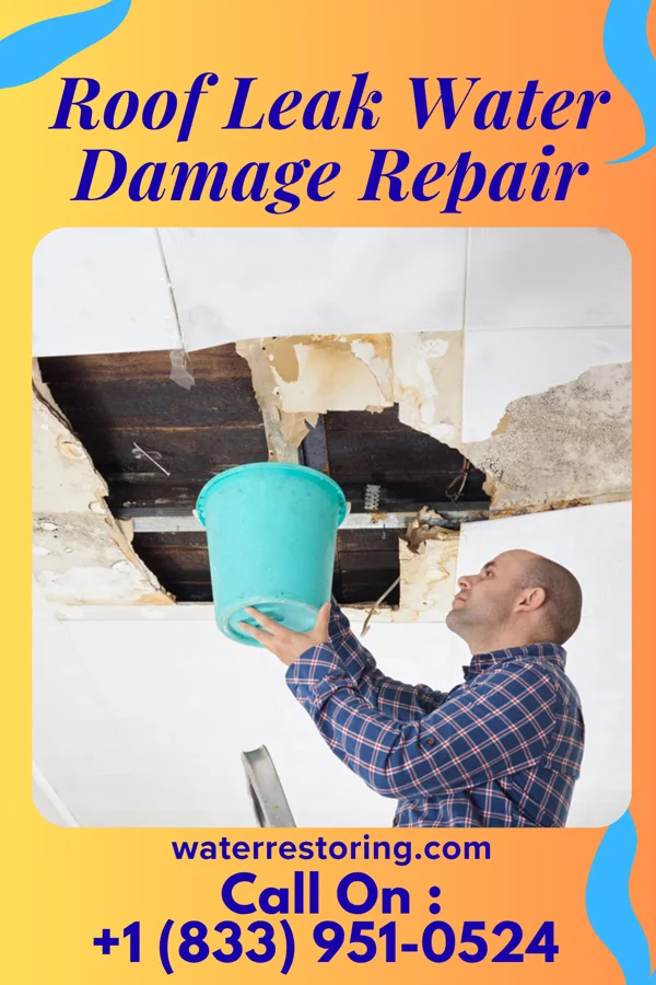 Roof Leak Water Damage Repair in Gallatin, TN