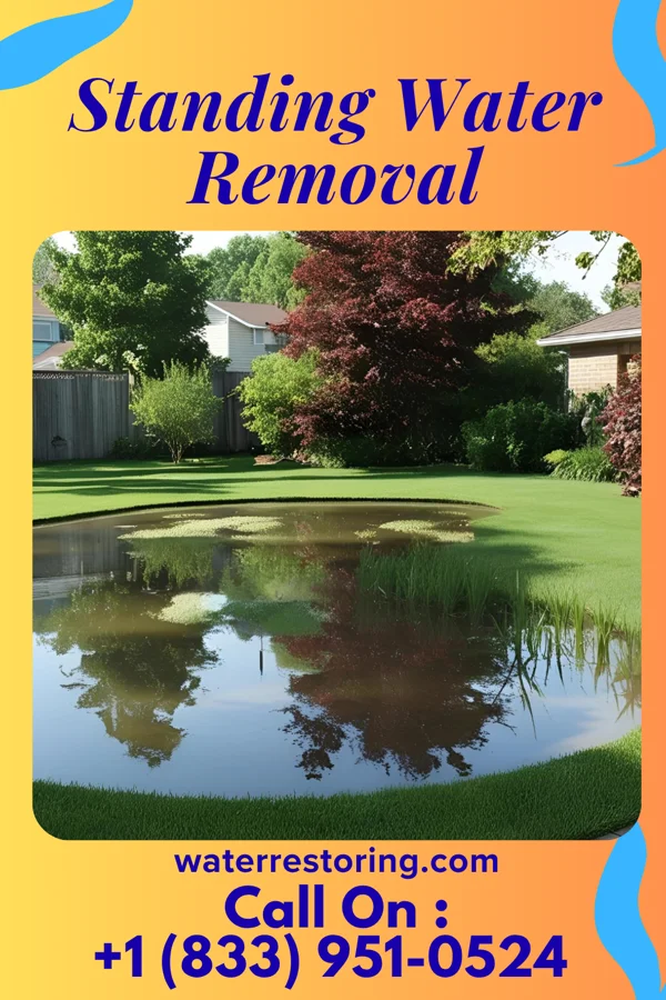 Standing Water Removal in Gallatin, TN
